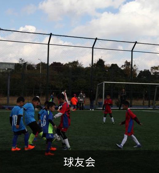 关于球友会